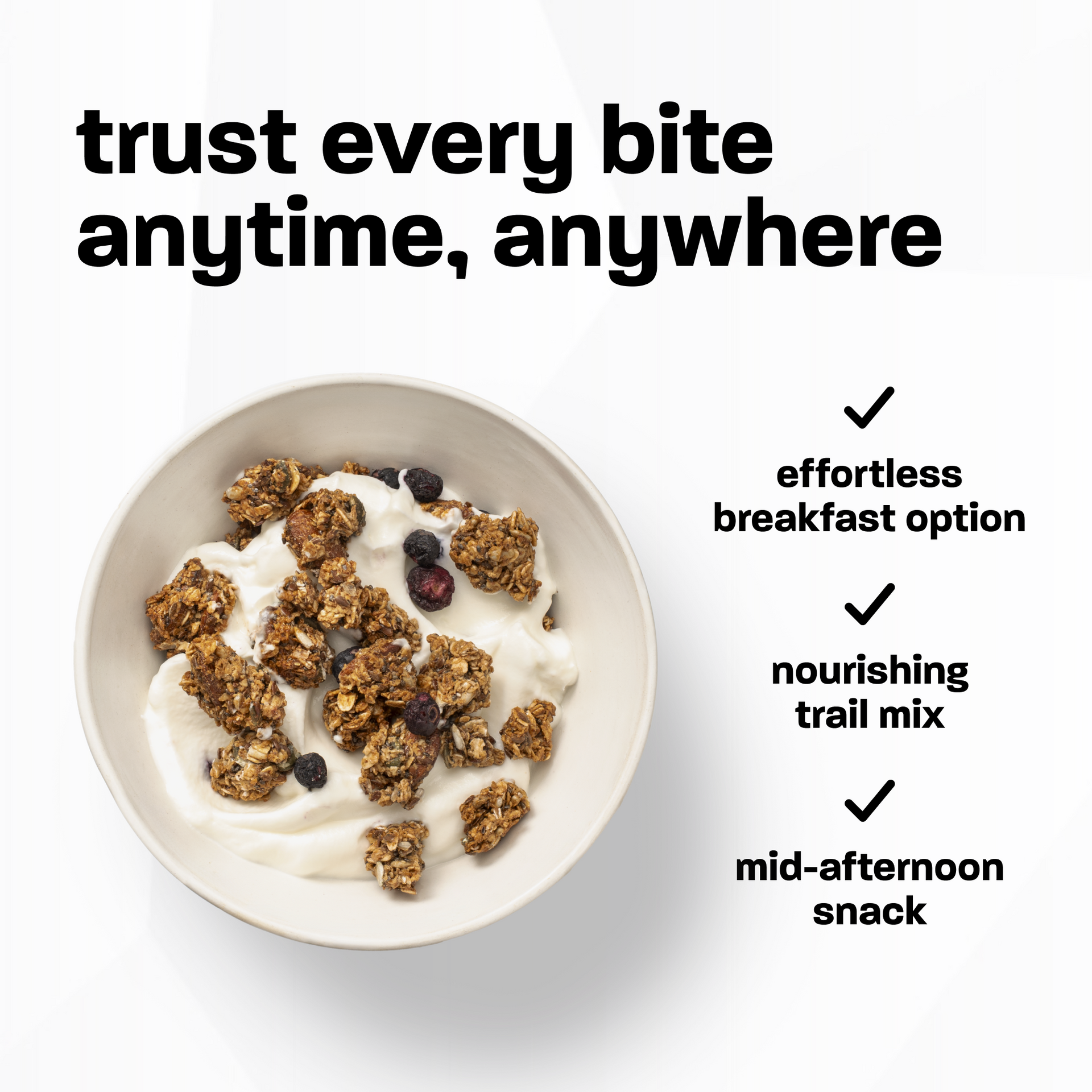 Vanilla Blueberry Granola (10.6/25.4oz)