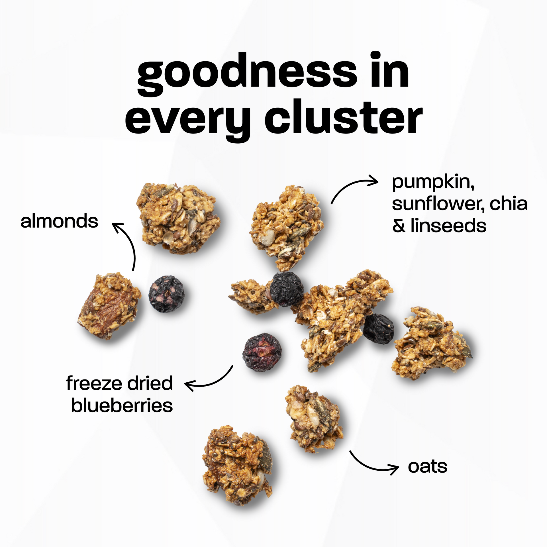 Vanilla Blueberry Granola (10.6/25.4oz)